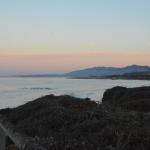 Cambria_0573 (November 02, 2013)